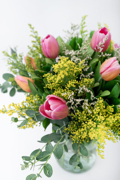 Amistad - Tulipanes QRO