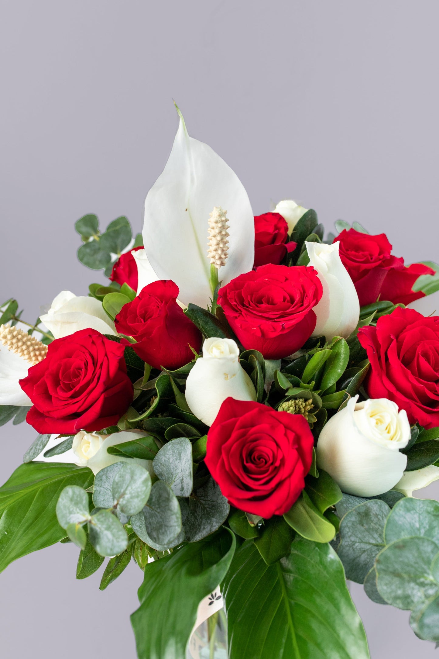 Aire Tropical - Rosa Roja y Blanca con Cuna de Moisés ACA