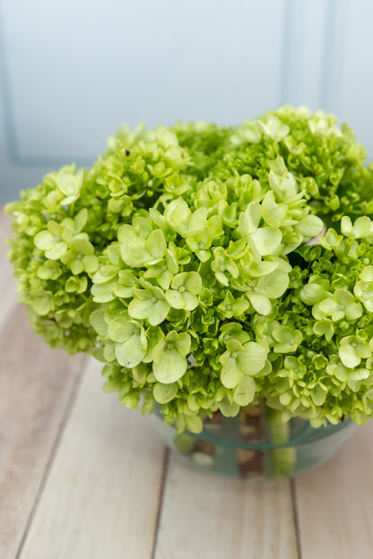 Centro de Mesa 7 - Hortensia en Florero