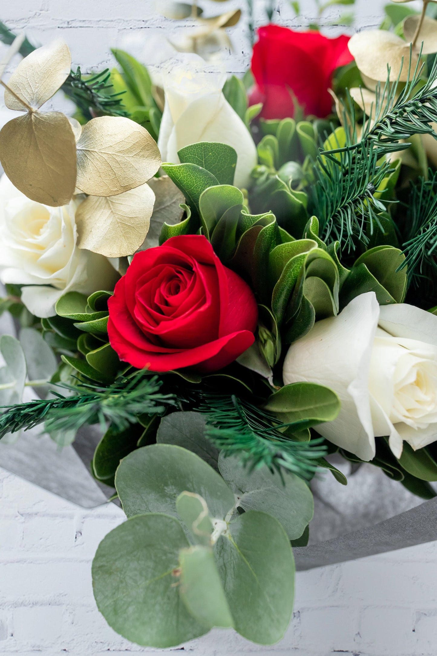 Jingle Bell - Rosa Roja y Rosa Blanca GDL