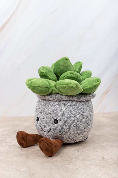 Suculenta - Peluche