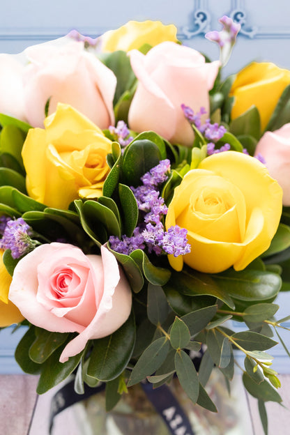 Road to the Sun - Yellow Rose and Clarita CDJ