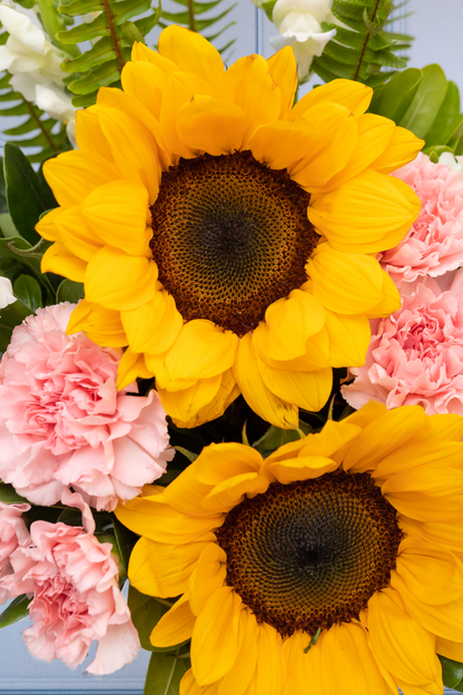 Feliz Día - Girasoles, Claveles Rosas y Perrito Blanco VALLARTA