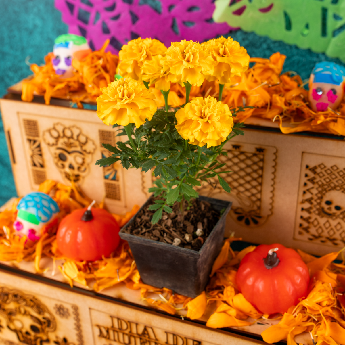 Camino al Mictlán - Kit Ofrenda