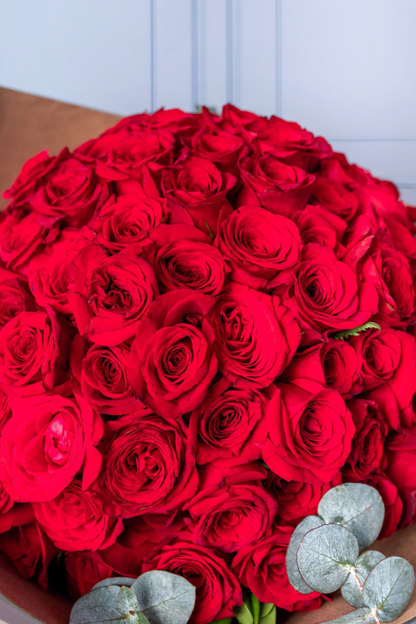 Ramo Buchón - 50 Rosas Rojas VALLARTA