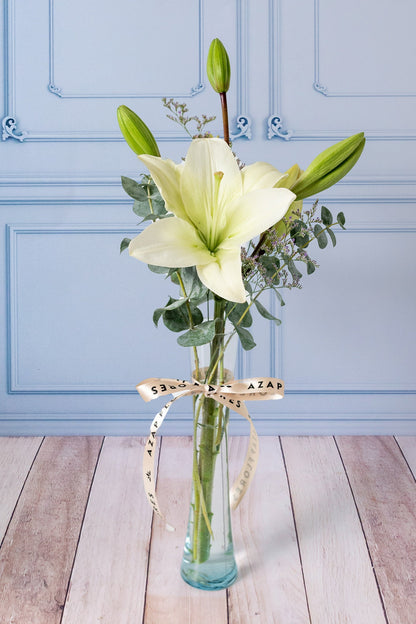 Algodoncito / 1 Lilium Blanca en Violetero