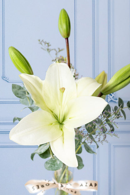 Cotton Candy - 1 White Lilium in APO Violet Pot