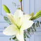 Algodoncito / 1 Lilium Blanca en Violetero