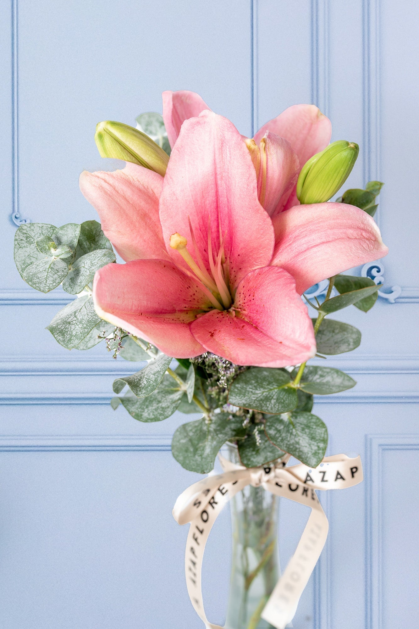 Sea Breeze - 1 Pink Lilium in a Violet Pot. SALT