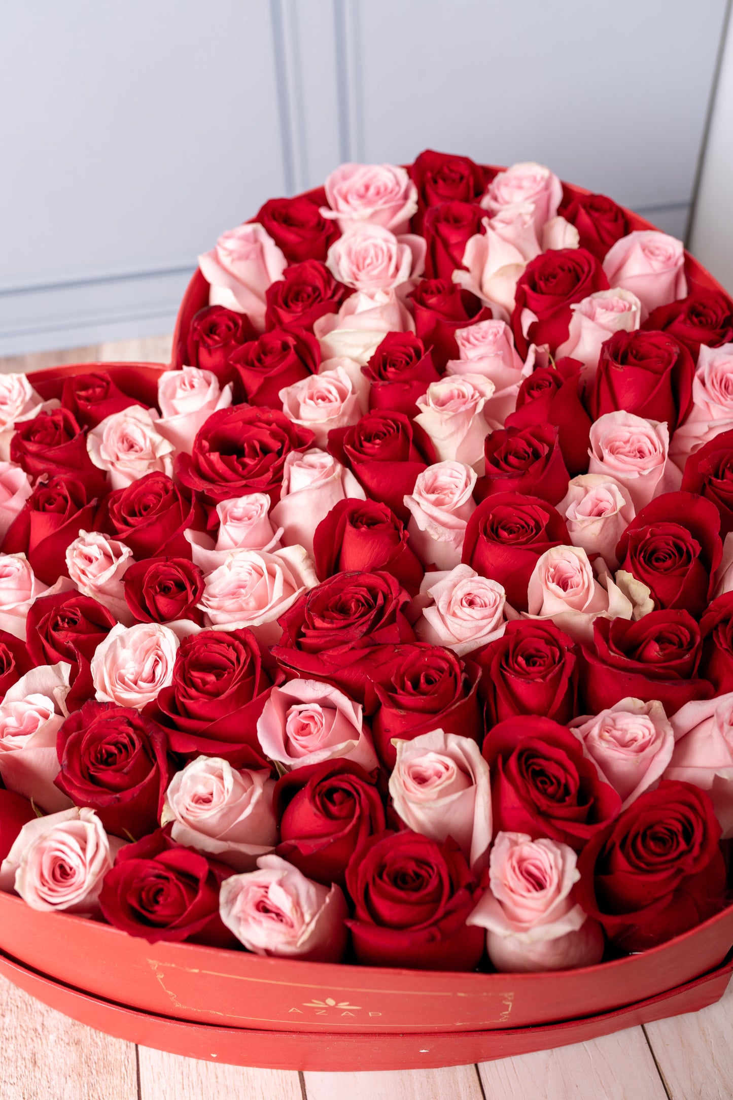 Corazón de Rosas - Rosa Roja y Rosa Clarita