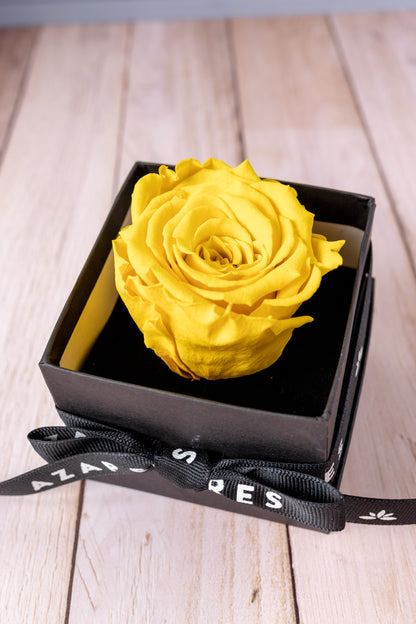 Love and Now - Eternal Yellow Rose in CUN Box