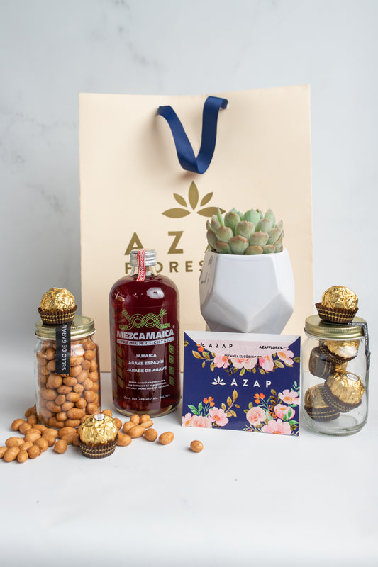 Kit Mezcamaica - Mezcal, Chocolates, Cacahuates y Suculenta