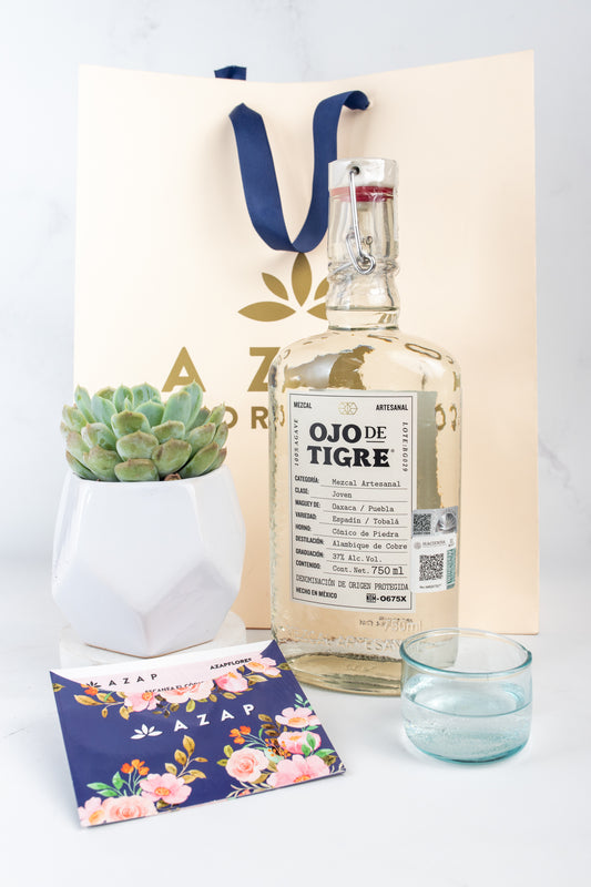 Kit Ojo de Tigre - Mezcal y Suculenta