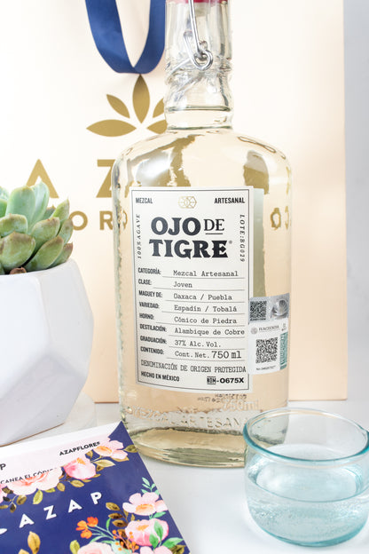 Kit Ojo de Tigre - Mezcal y Suculenta