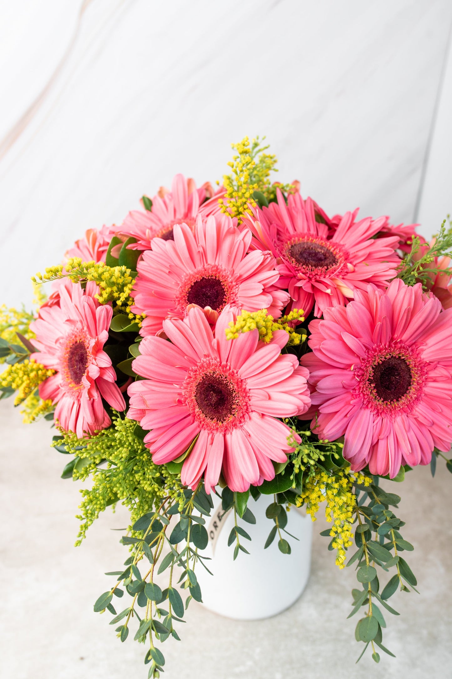 Chispitas de Gerberas - Gerbera Rosa MER