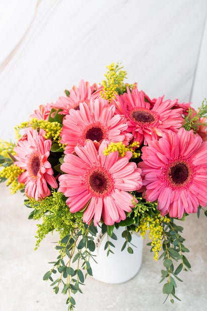 Chispitas de Gerberas - Gerbera Rosa OAX CEN