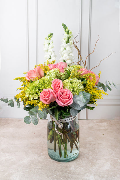 Brillante - Rosa Clarita, Hortensia y Perrito Blanco OAX CEN