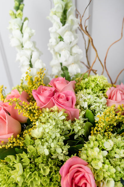 Brillante - Rosa Clarita, Hortensia y Perrito Blanco TUXTLA