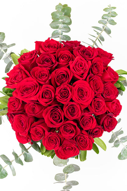 La Vida en Rosa // Rosa Roja