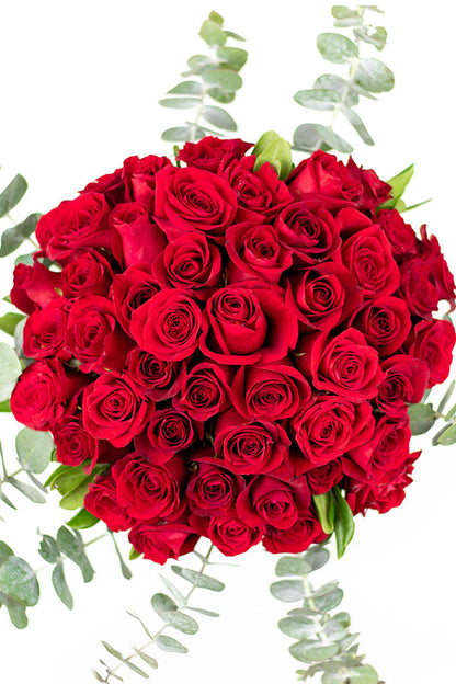 La Vida en Rosa - (Rosa Roja) TUXTLA