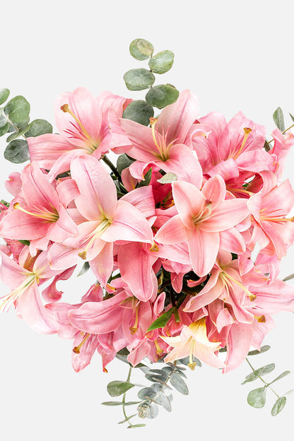 Las Brisas - Lilium Rosa QRO