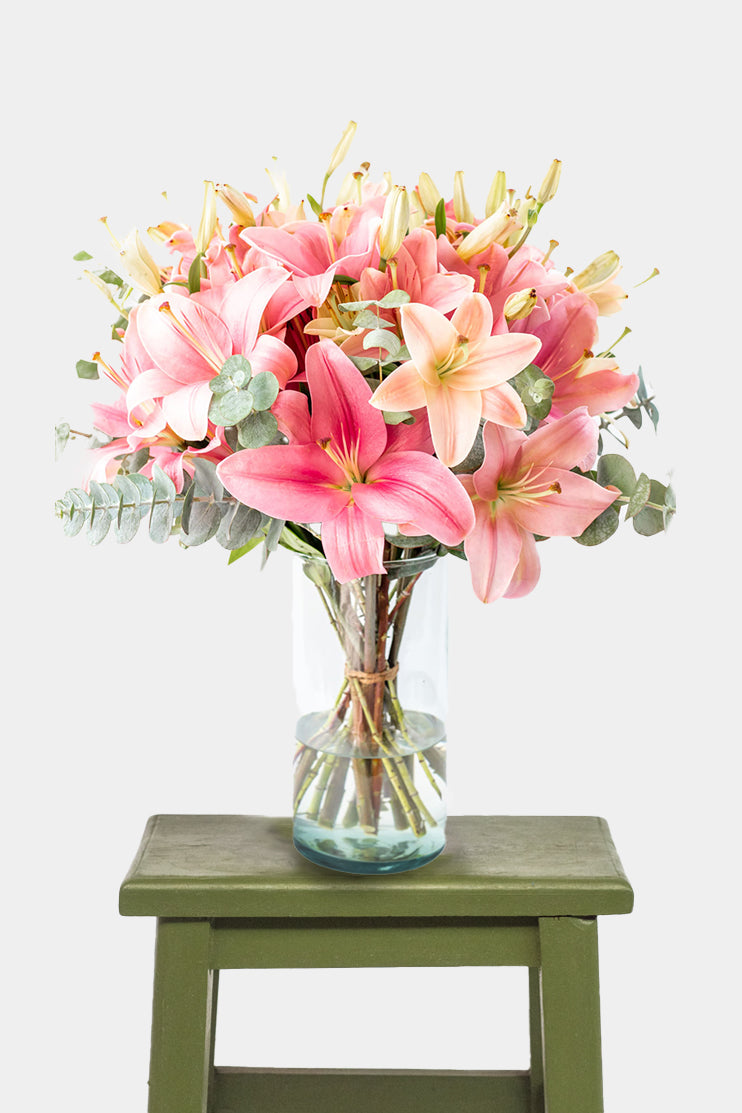 Las Brisas - (Lilium Rosa) OAX CEN