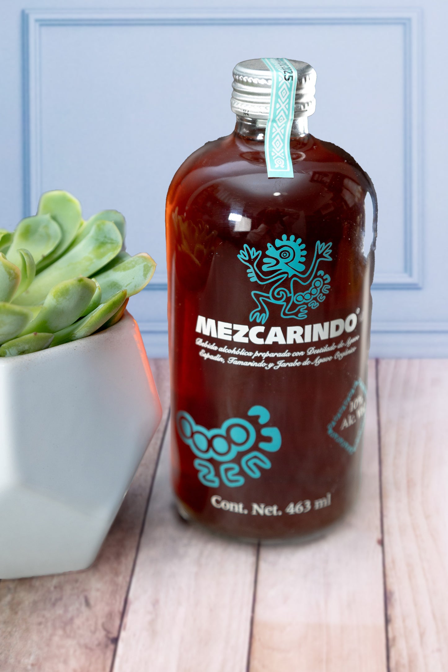 Kit Mezcarindo - Mezcal y Suculenta