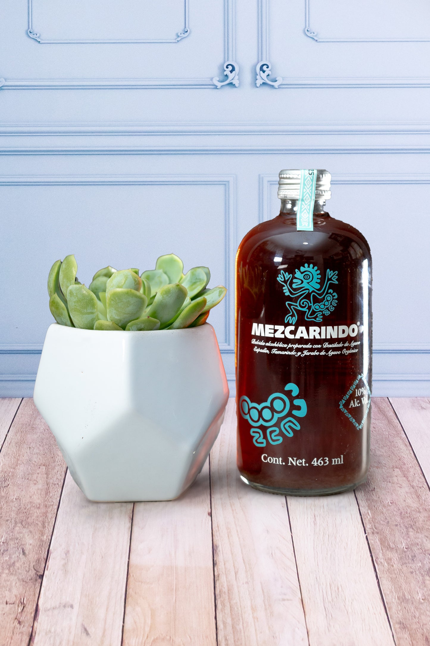 Kit Mezcarindo - Mezcal y Suculenta