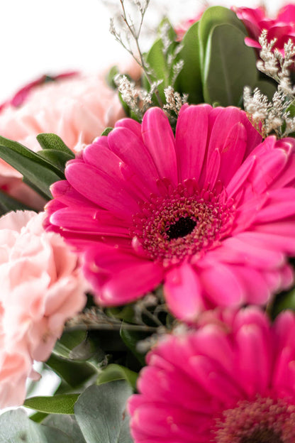 Night in Paris - (Pink Gerbera and Pink Carnation) CEL
