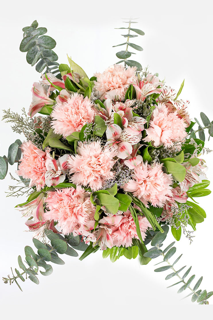 Noche de Verano / Clavel Rosa y Astromelia CUL