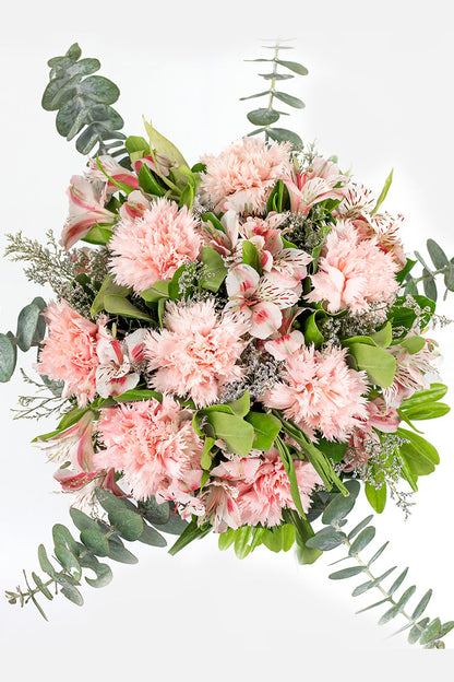 Noche de Verano / Clavel Rosa y Astromelia CUL