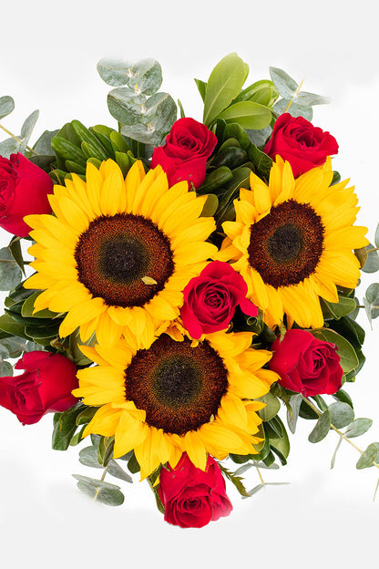 Ocaso - Girasol con Rosa Roja MER
