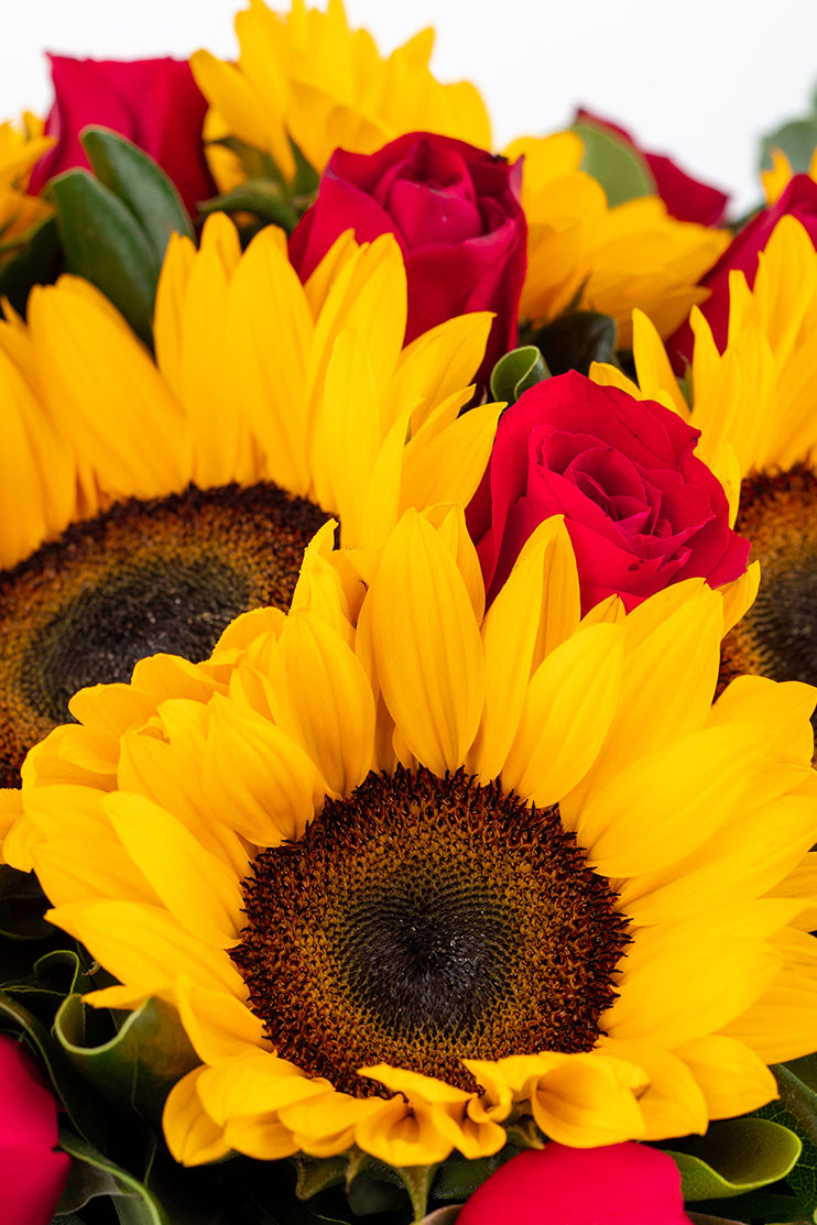 Ocaso - Girasol con Rosa Roja MER