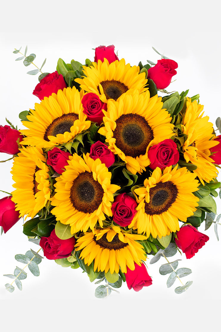 Ocaso - Girasol con Rosa Roja MER