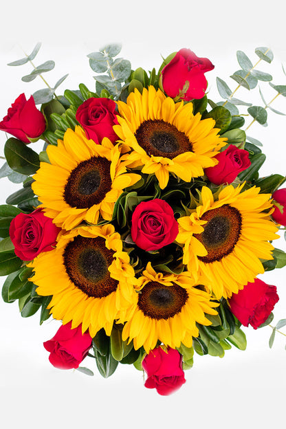 Ocaso - Girasol con Rosa Roja MER