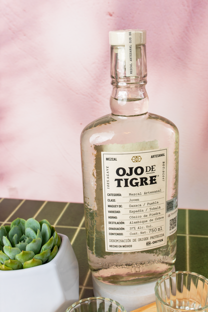 Kit Ojo de Tigre - Tabla Personalizada y Suculenta