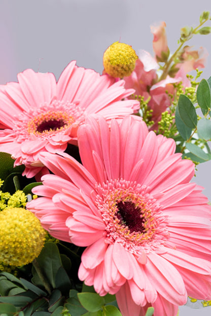 Optimista / Gerbera Rosa, Craspedia Amarilla y Perrito Blanco CUA-IZ