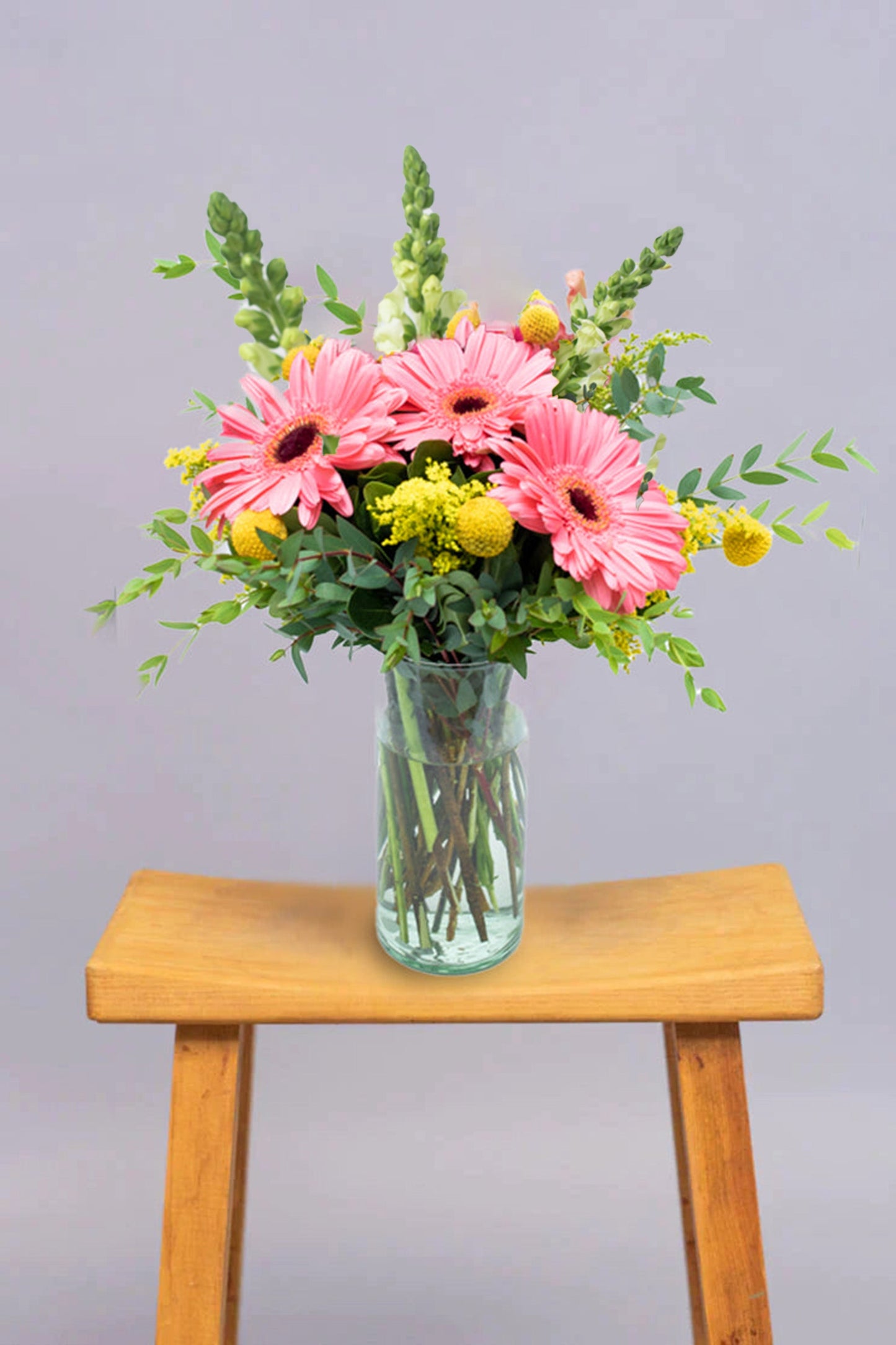 Optimista - Gerbera Rosa, Craspedia Amarilla y Perrito Blanco VALLARTA