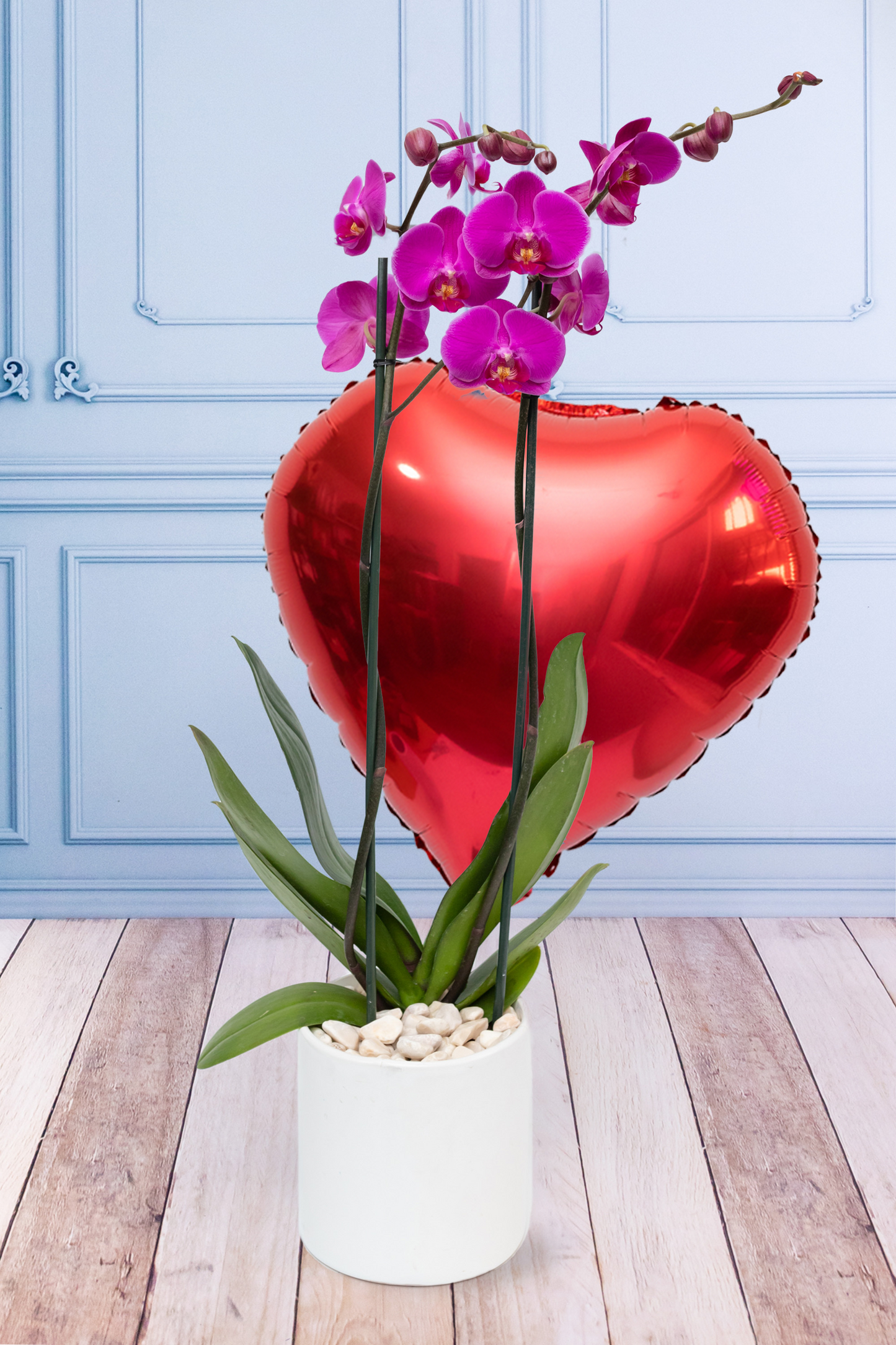 Orquídea Morada SV - Maceta Blanca CUN