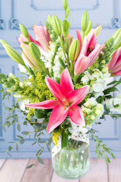 Paisaje - Lilium Rosa y Perrito Blanco TUXTLA