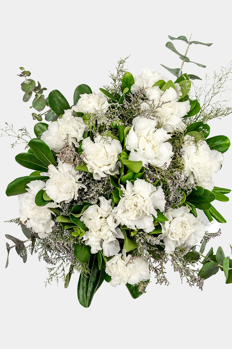 Rivera - (Clavel Blanco) OAX CEN