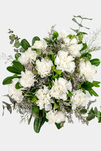 Rivera - (Clavel Blanco) OAX CEN