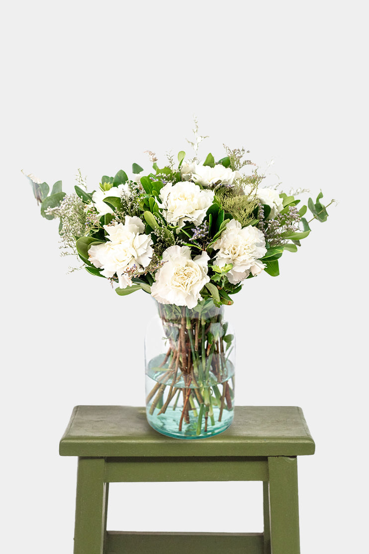 Rivera / Clavel Blanco CUL