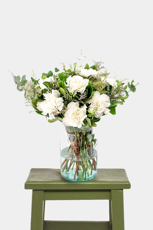 Rivera - (Clavel Blanco) OAX CEN