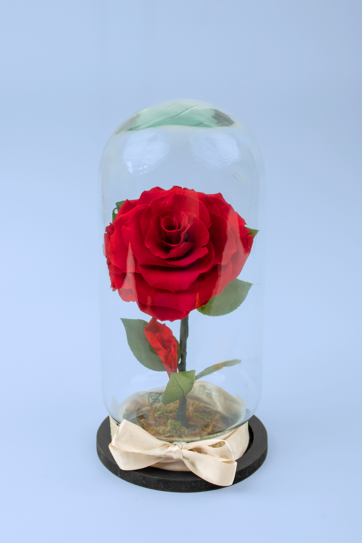 Rosa Eterna Sotto Cupola Di Vetro Con LED - Kit Regalo Romantico Per Amore, Anniversari E Feste - Foto 4