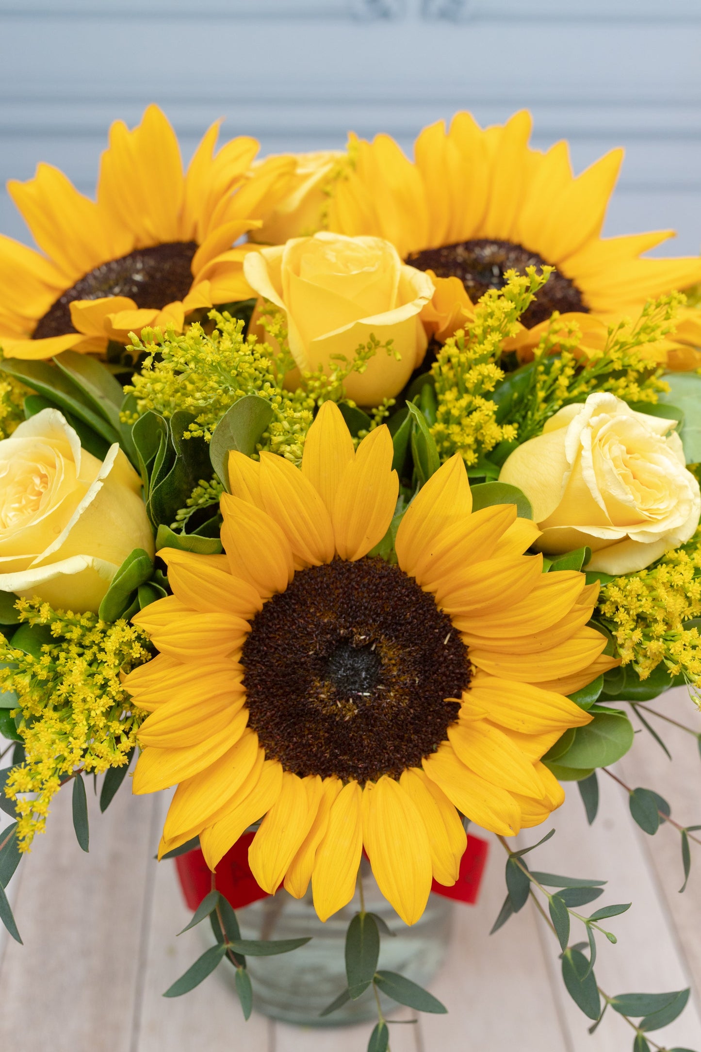 Sol Radiante - Girasol y Rosa Amarilla OAX CEN