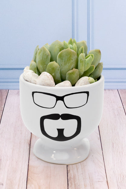 Succulent - Little Face Cup with Glasses