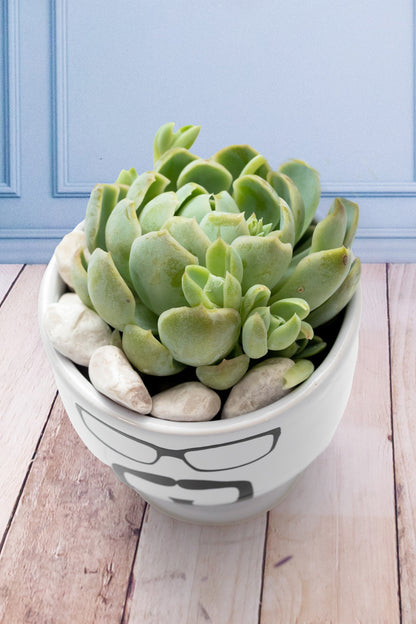 Succulent - Little Face Cup with Glasses