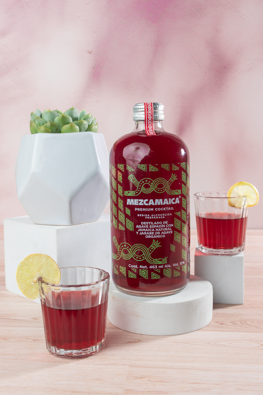 Kit Mezcamaica - Mezcal, Suculenta y Vaso