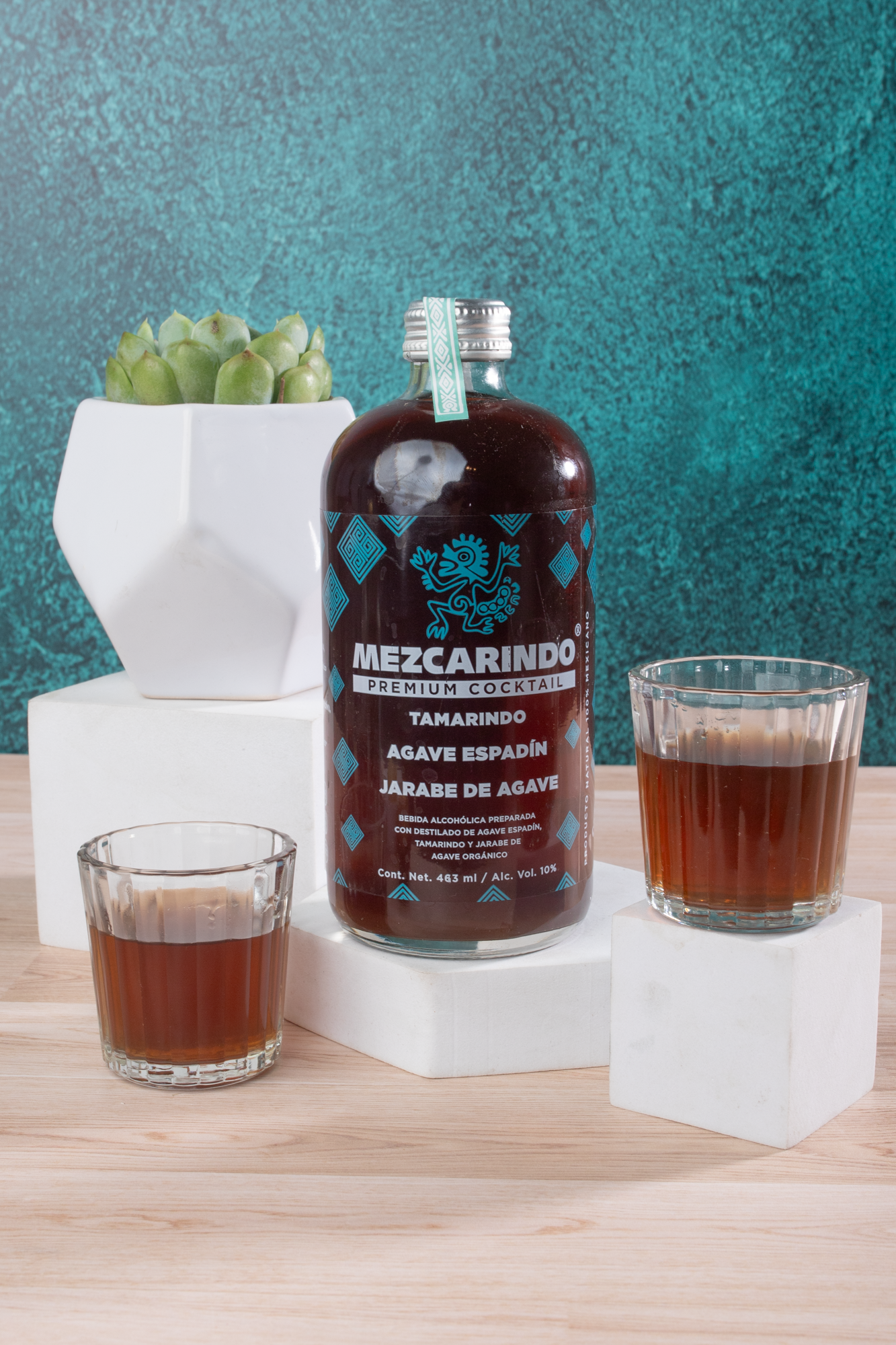 Kit Mezcarindo - Mezcal, Suculenta y Vasos